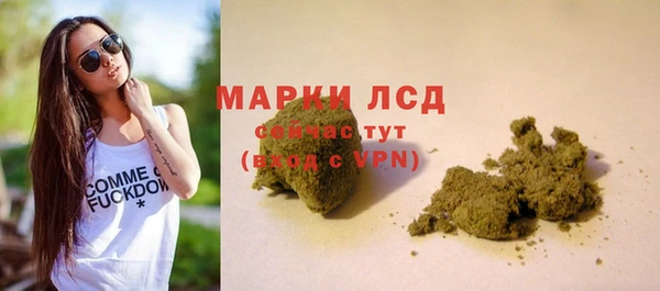 спиды Волоколамск