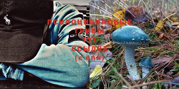 спиды Волоколамск